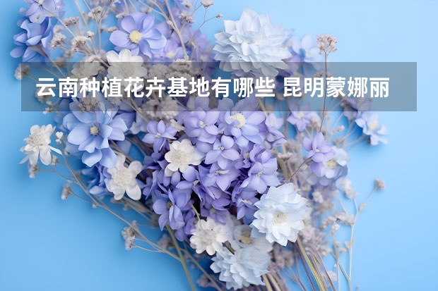 云南种植花卉基地有哪些 昆明蒙娜丽莎鲜花基地在哪