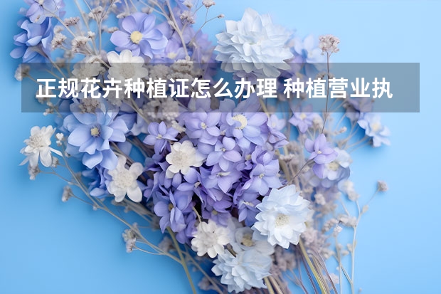 正规花卉种植证怎么办理 种植营业执照怎么办理