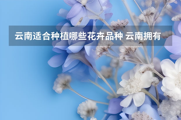 云南适合种植哪些花卉品种 云南拥有最大的什么花种质资源库