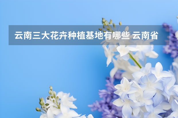 云南三大花卉种植基地有哪些 云南省最大的花卉基地在哪里