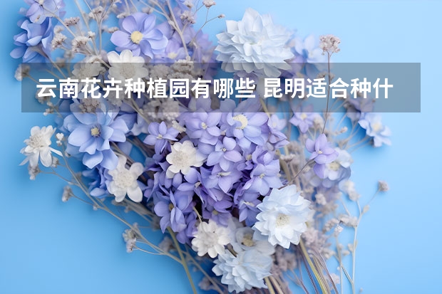 云南花卉种植园有哪些 昆明适合种什么花城市花木有哪些？