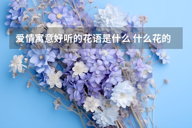 爱情寓意好听的花语是什么 什么花的花语是爱情，情人节创意礼物