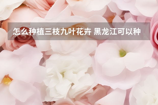 怎么种植三枝九叶花卉 黑龙江可以种植三枝九叶草吗？