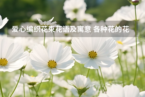 爱心编织花束花语及寓意 各种花的花语寓意