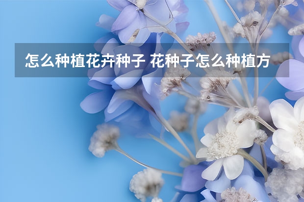 怎么种植花卉种子 花种子怎么种植方法