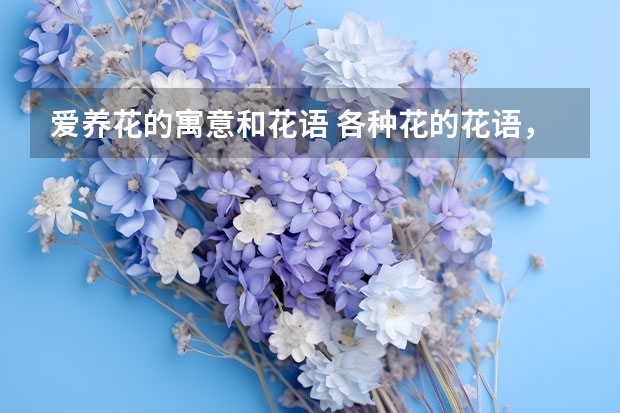 爱养花的寓意和花语 各种花的花语，同种花不同颜色所代表的意义