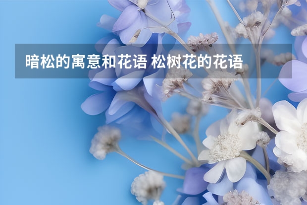 暗松的寓意和花语 松树花的花语