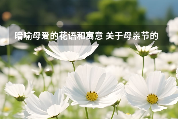 暗喻母爱的花语和寓意 关于母亲节的花语