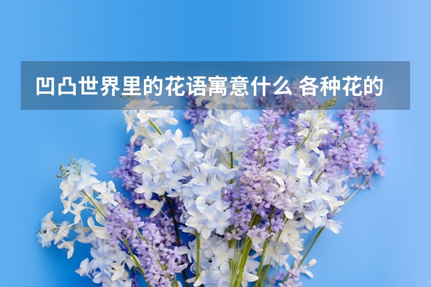 凹凸世界里的花语寓意什么 各种花的花语与代表的寓意