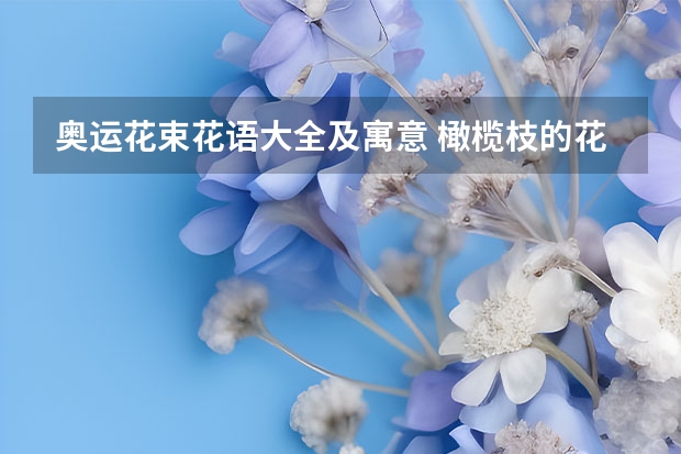 奥运花束花语大全及寓意 橄榄枝的花语和象征意义是什么？