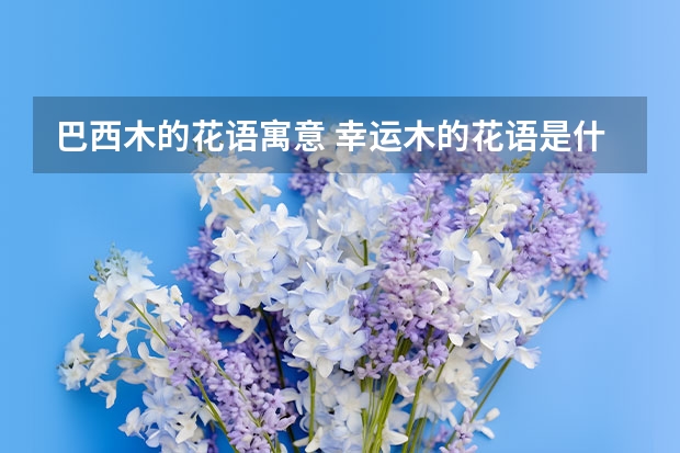 巴西木的花语寓意 幸运木的花语是什么？