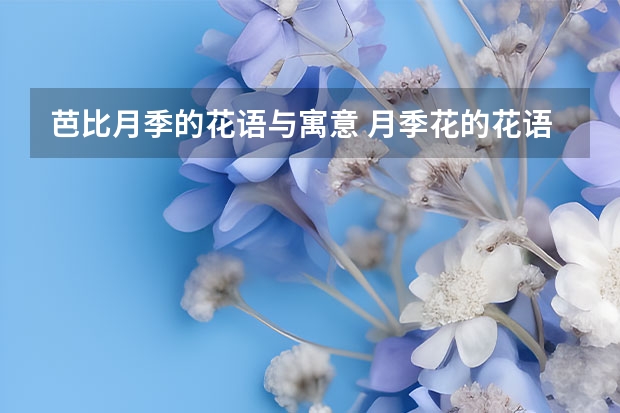 芭比月季的花语与寓意 月季花的花语和寓意