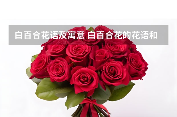 白百合花语及寓意 白百合花的花语和寓意