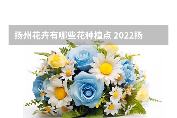 扬州花卉有哪些花种植点 2022扬州花卉景点及策略