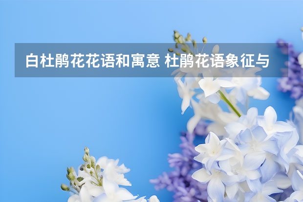 白杜鹃花花语和寓意 杜鹃花语象征与寓意是什么（杜鹃在古代的象征意义）