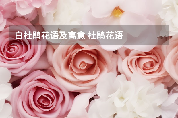 白杜鹃花语及寓意 杜鹃花语