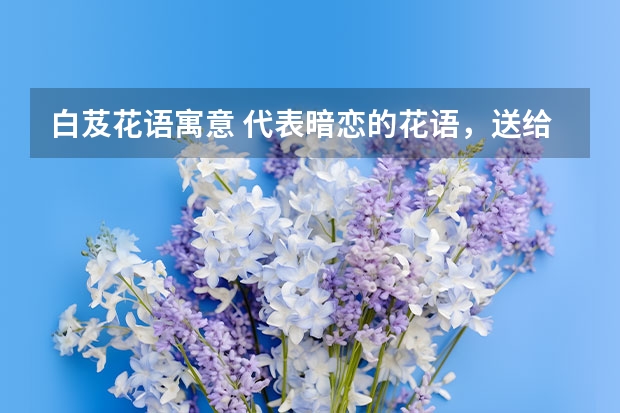 白芨花语寓意 代表暗恋的花语，送给暗恋对象的花语