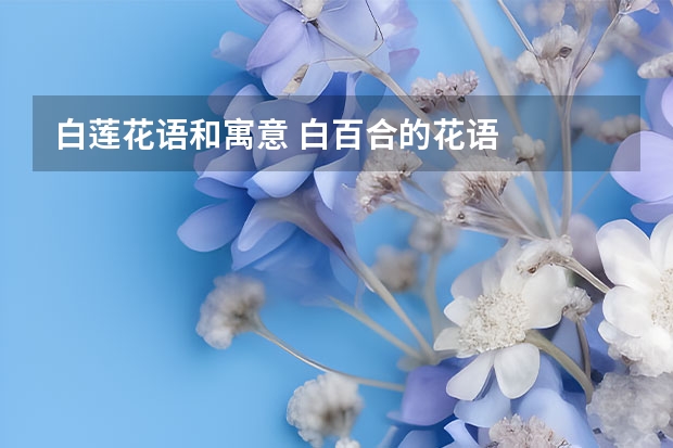 白莲花语和寓意 白百合的花语