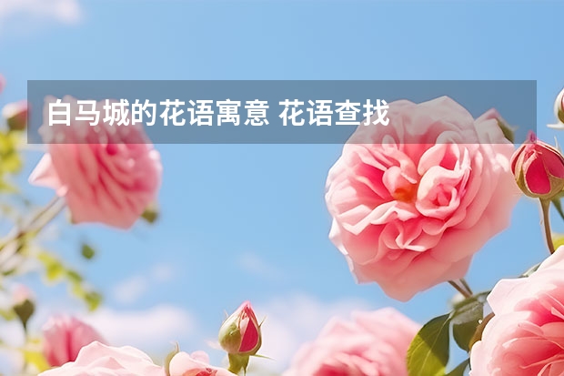 白马城的花语寓意 花语查找