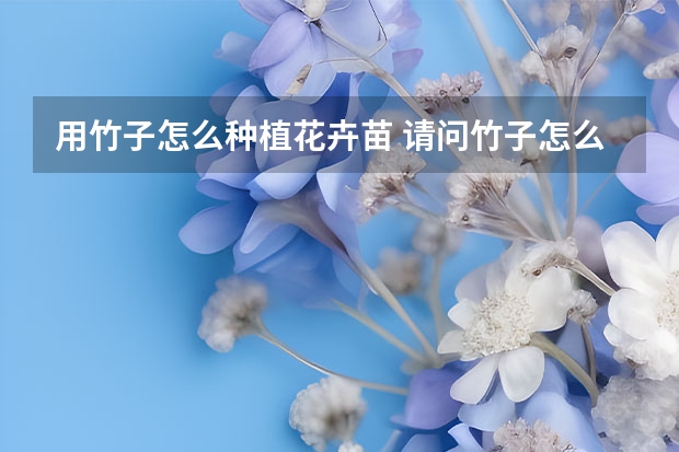 用竹子怎么种植花卉苗 请问竹子怎么种，埋多深就可以了