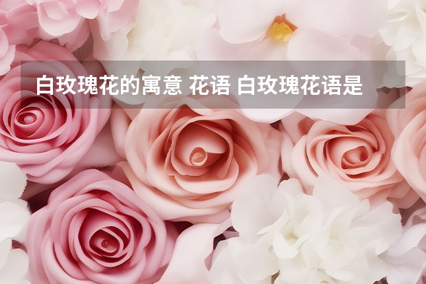 白玫瑰花的寓意 花语 白玫瑰花语是什么意思