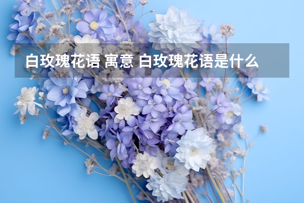 白玫瑰花语 寓意 白玫瑰花语是什么意思