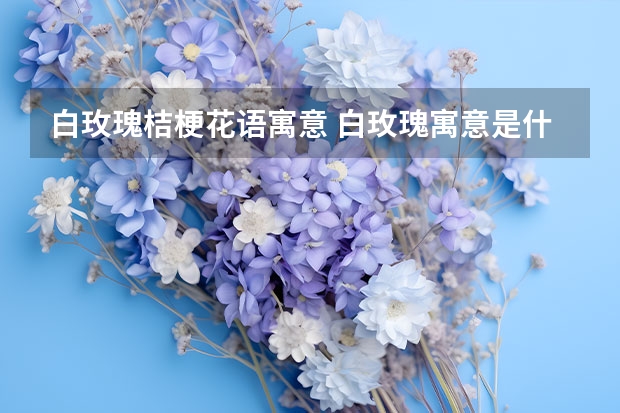 白玫瑰桔梗花语寓意 白玫瑰寓意是什么意思