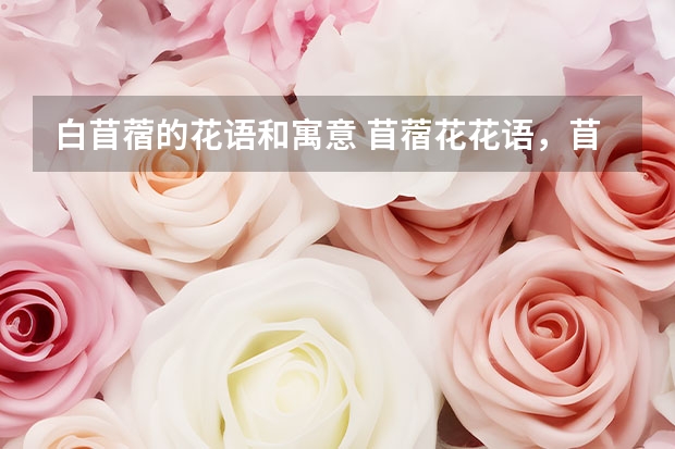 白苜蓿的花语和寓意 苜蓿花花语，苜蓿花花语是什么