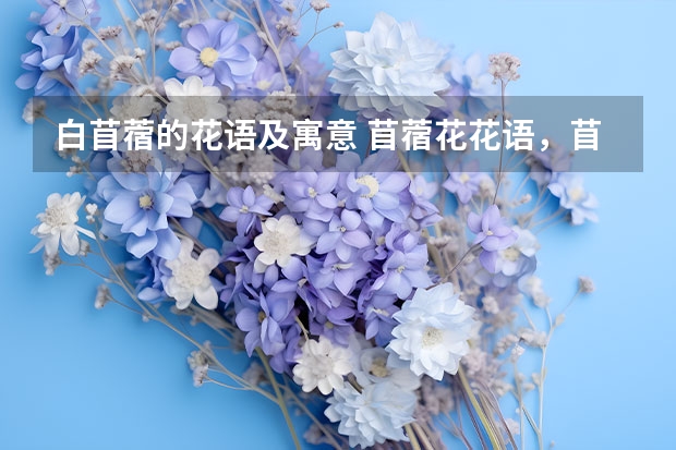 白苜蓿的花语及寓意 苜蓿花花语，苜蓿花花语是什么