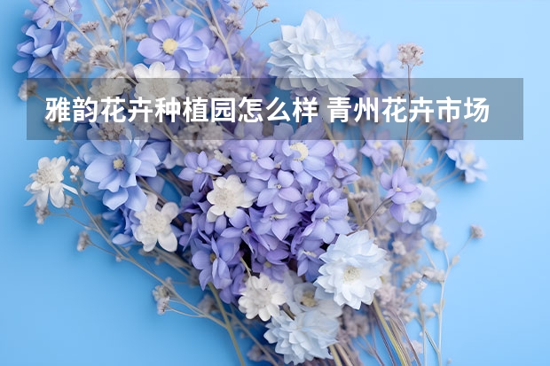 雅韵花卉种植园怎么样 青州花卉市场场有蓝色月季吗