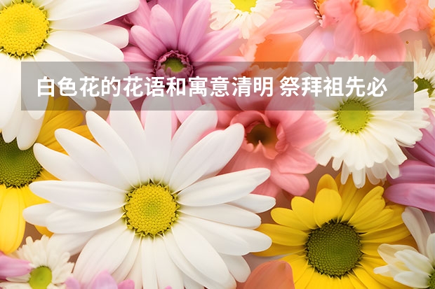 白色花的花语和寓意清明 祭拜祖先必知：清明节送什么花好？