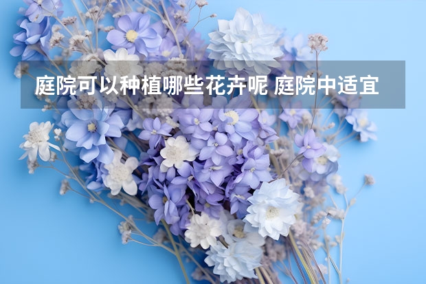 庭院可以种植哪些花卉呢 庭院中适宜种植哪些花卉