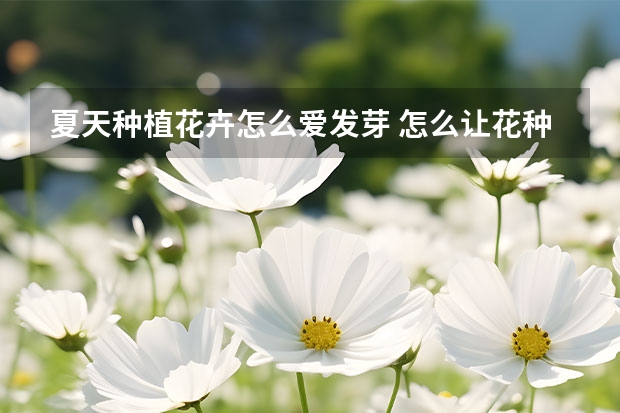 夏天种植花卉怎么爱发芽 怎么让花种发芽