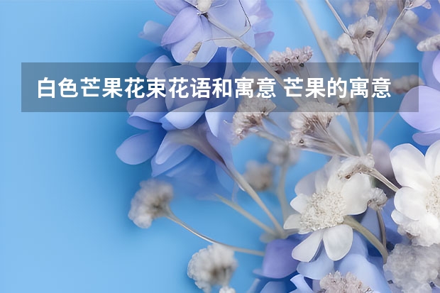 白色芒果花束花语和寓意 芒果的寓意和象征