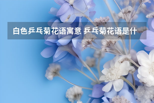 白色乒乓菊花语寓意 乒乓菊花语是什么意思