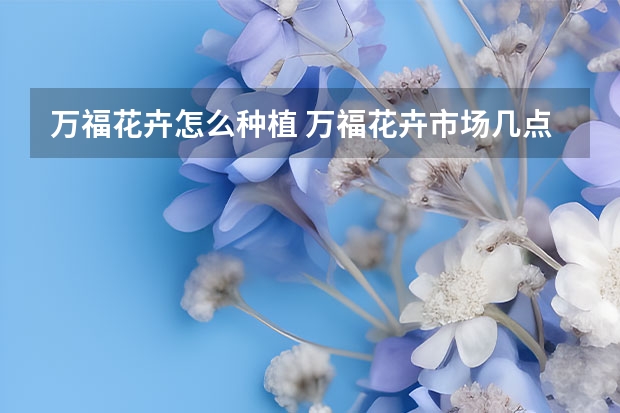 万福花卉怎么种植 万福花卉市场几点关门