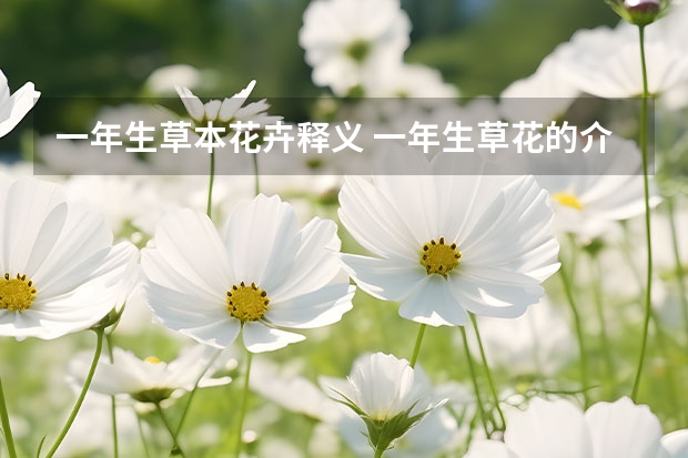 一年生草本花卉释义 一年生草花的介绍