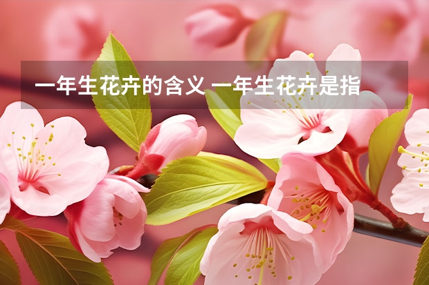 一年生花卉的含义 一年生花卉是指