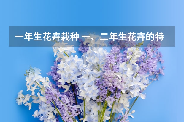 一年生花卉栽种 一、二年生花卉的特点与栽培管理要点？