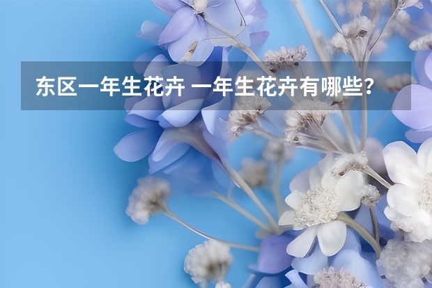 东区一年生花卉 一年生花卉有哪些？