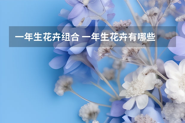 一年生花卉组合 一年生花卉有哪些