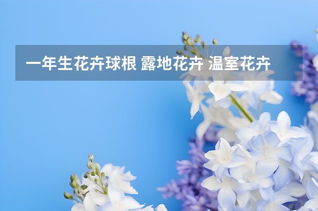 一年生花卉球根 露地花卉 温室花卉 一年生花卉 二年生花卉 宿根花卉 球根花卉的主要园林应用方式是什么？