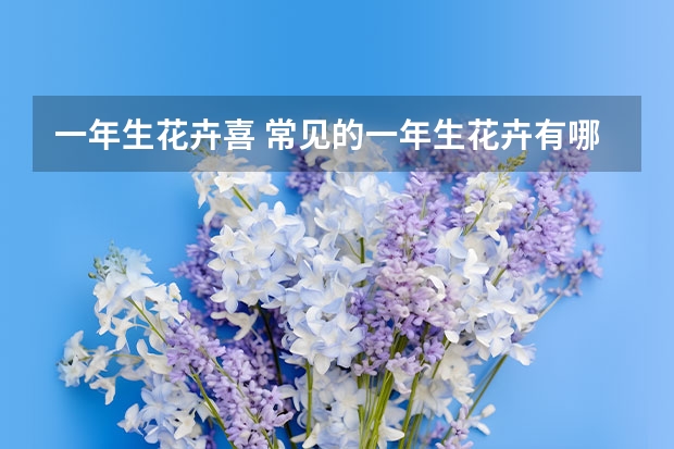 一年生花卉喜 常见的一年生花卉有哪些?