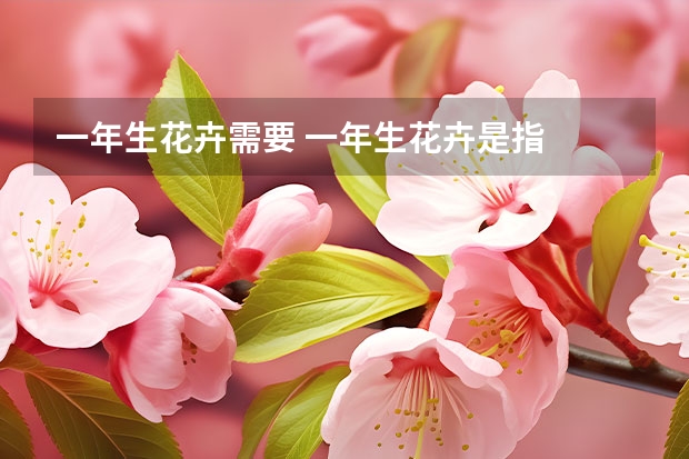 一年生花卉需要 一年生花卉是指