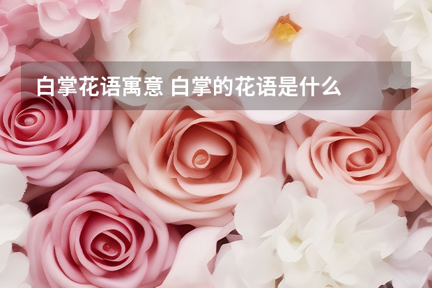 白掌花语寓意 白掌的花语是什么