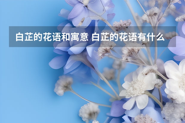 白芷的花语和寓意 白芷的花语有什么含义