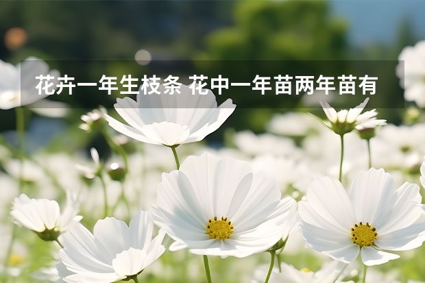 花卉一年生枝条 花中一年苗两年苗有什么区别