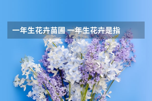 一年生花卉苗圃 一年生花卉是指