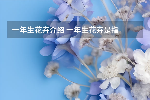 一年生花卉介绍 一年生花卉是指