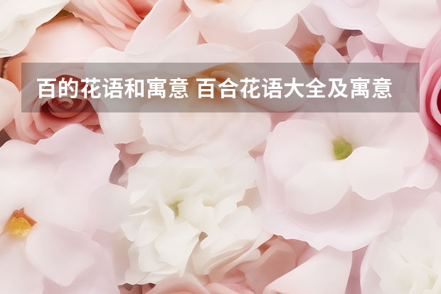 百的花语和寓意 百合花语大全及寓意